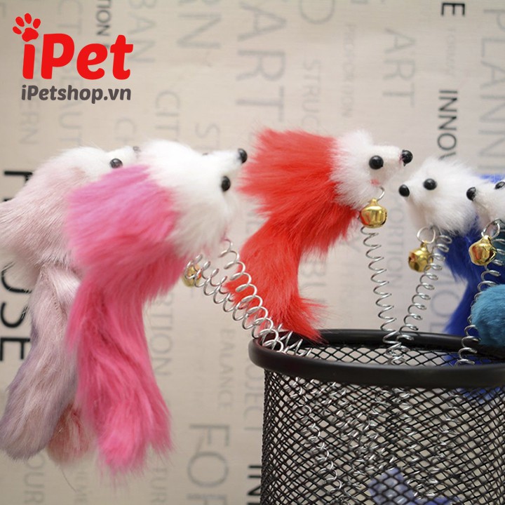 Chuột Đồ Chơi Lò Xo Có Mút Gắn Cho Chó Mèo - iPet Shop