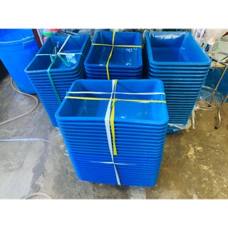 KHAY NUÔI CÁ  Guppy Betta , TRỒNG RAU 50x35x15cm ( BỂ VỠ DO VẬN CHUYỂN KHÔNG ĐỀN)