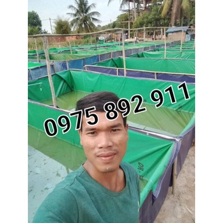 Bể bạt nuôi ốc ếch cá xanh bộ đội 6x3x1