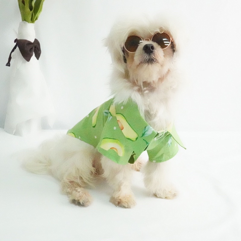 ÁO BIG SIZE ÁO SƠ MI THỜI TRANG CHO THÚ CƯNG