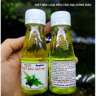 Diệt Rêu Tảo Hại Nuphar