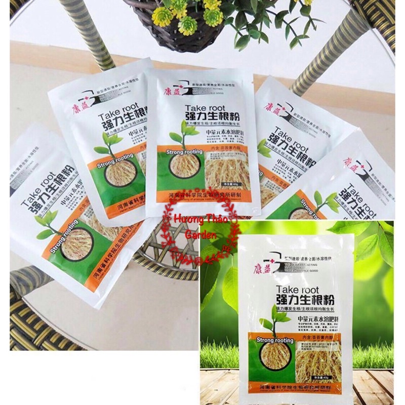 Siêu Kích Rễ Take  Root Gói 40gr