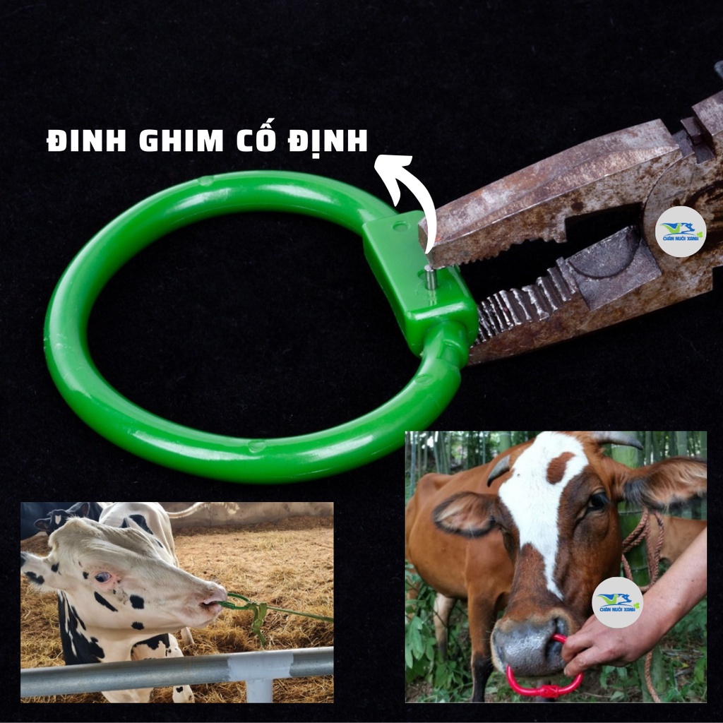 Vòng xỏ mũi bò, khuyên xỏ mũi trâu - bò bằng nhựa Pakistan đi kèm chốt deo dai bền bỉ cao cấp - CHĂN NUÔI XANH