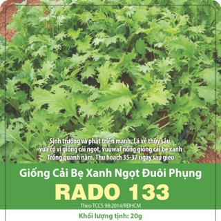 Hạt giống Cải Bẹ Xanh Đuôi Phụng 133 (20gr)