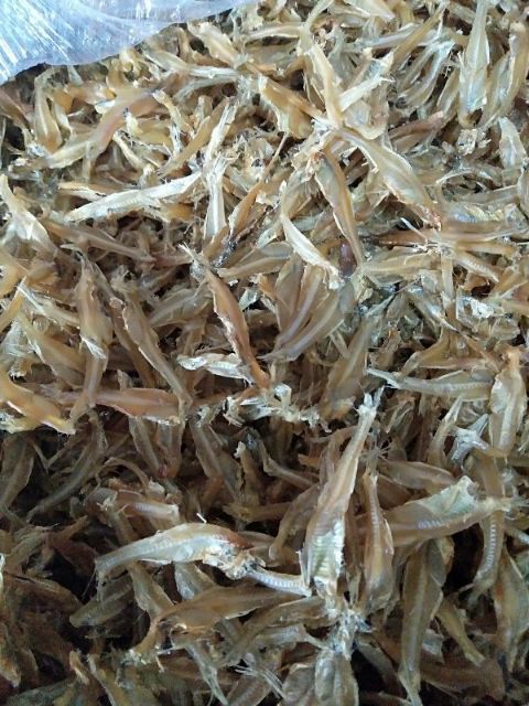 Combo 500 gram cá ruội và 20 con mực khô