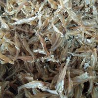 Combo 500 gram cá ruội và 20 con mực khô