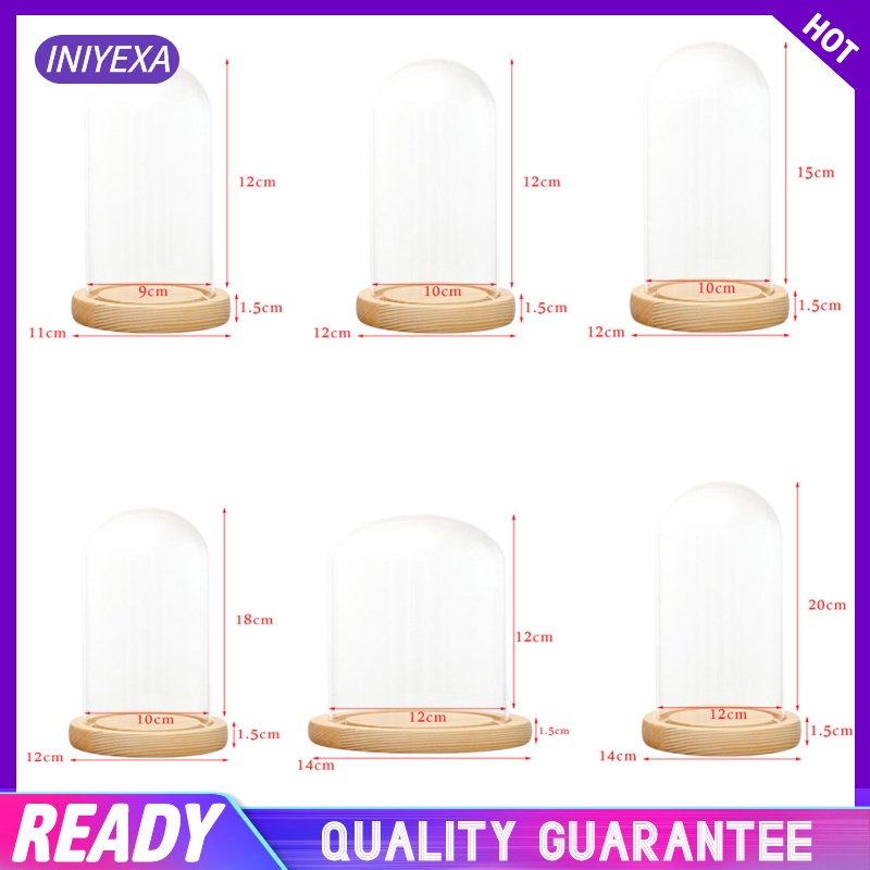 Thủy tinh + Đế gỗ LED, Lọ chuông thủy tinh trong suốt trang trí để trang trí quà tặng