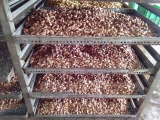 Hạt điều rang muối loại 1 (500g)