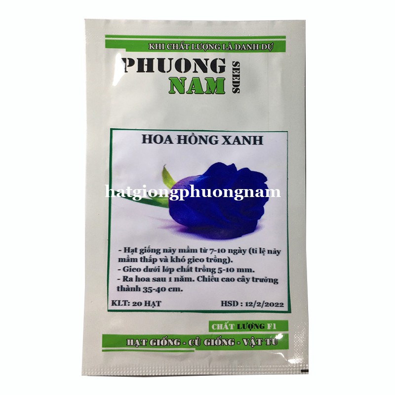 20H - HẠT GIỐNG HOA HỒNG XANH