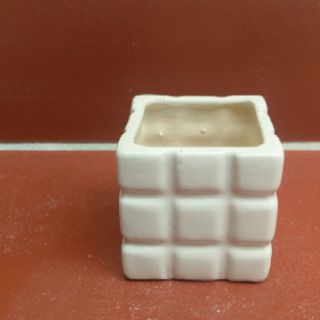 Chậu trồng sen đá mini