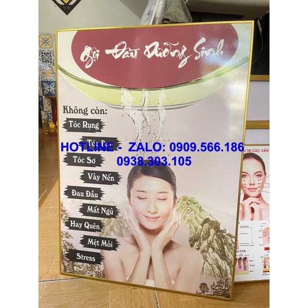 BỘ 3 TRANH SPA DƯỠNG SINH ĐÔNG Y- GỘI ĐẦU DƯỠNG SINH