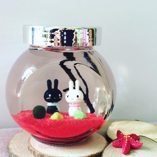 Set Marimo couple thỏ