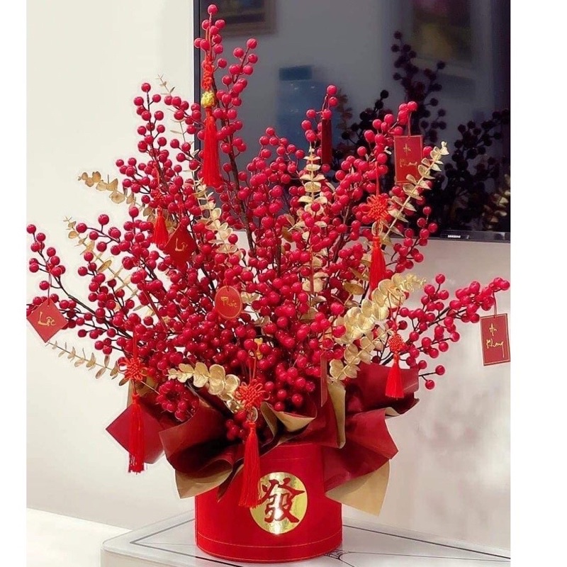 Cành đào đông quả to tròn (quả cherry) .