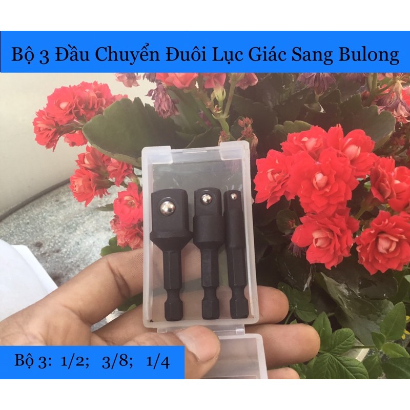 Bộ 3 Đầu Chuyển Đuôi Lục Giác Sang Bulong