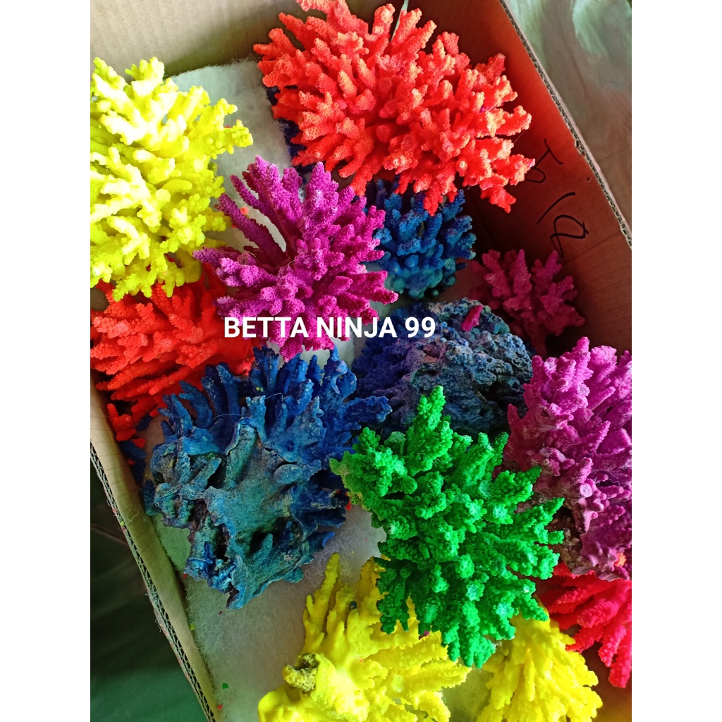 {RẺ NHẤT}SAN HÔ BÔNG NHUỘM 6 MÀU- BETTA NINJA 99