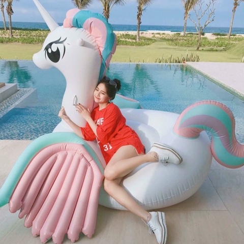 Phao Bơi Pony 265cm Người Lớn Khổng Lồ Kèm Bơm + Phao Mini