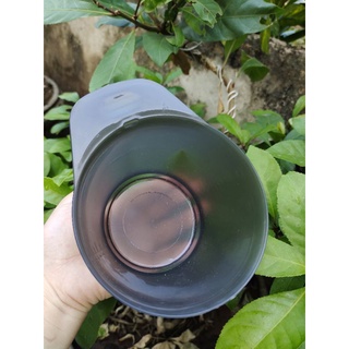 Bát nhuộm tóc, chổi nhuộm tóc