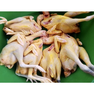 Gà tre (~0.9kg/con), sau khi làm sạch