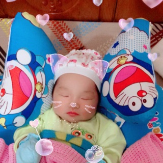 bộ vỏ gối chữ C và gối tai voi