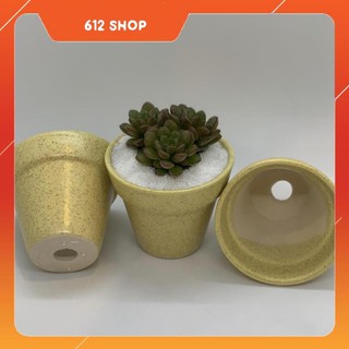 Bộ 3 Chậu Trồng Cây Cảnh Mini - 7x7x7 Cm - Gốm Sứ Bát Tràng - Mầu Be - Vàng