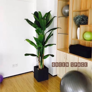 Bụi chuối Tây nhựa PVC- 3 cây cao- 1m8 ( không kèm chậu)