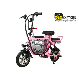 XE ĐẠP ĐIỆN NHẬP KHẨU THELI 04 15AH