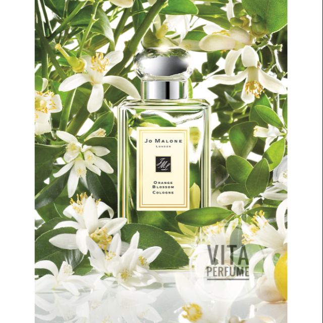 [Mẫu Thử] Nước Hoa Orange Blossom - Hoa Cam Ngát Hương Từ Nhà Jo Malone | Thế Giới Skin Care