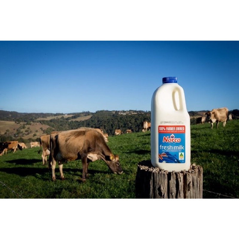 Sữa tươi Nguyên Kem NorCo Úc Thơm Ngon 200ML [Thùng 24Hộp] Date 9/2022