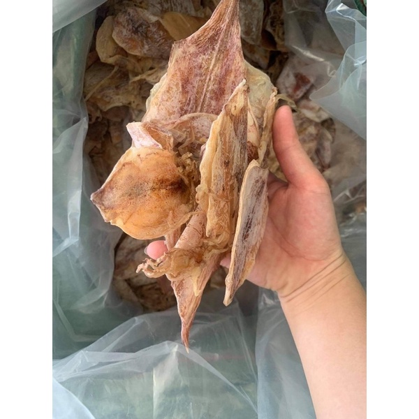 Mực câu Sầm Sơn | BigBuy360 - bigbuy360.vn