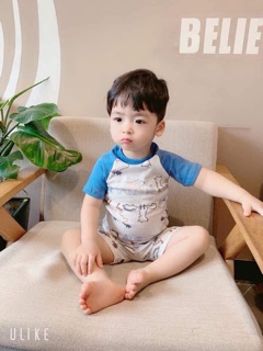 Bộ bozip phối tây combo 150k 5bo