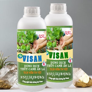 COMBO 5 CẶP LÁ - PHA 250 LÍT 1000 PPM