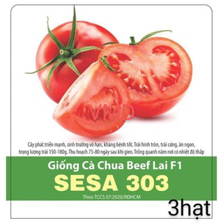 Hạt giồng Cà Chua Beef Lai F1 SESA