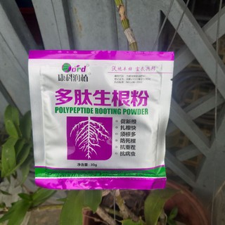 Thuốc Siêu Kích Rễ