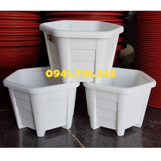 Com bo 10 chậu nhựa lục giác trắng - Shop chậu cảnh