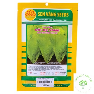 Hạt giống cải bẹ vàng không cay 20g