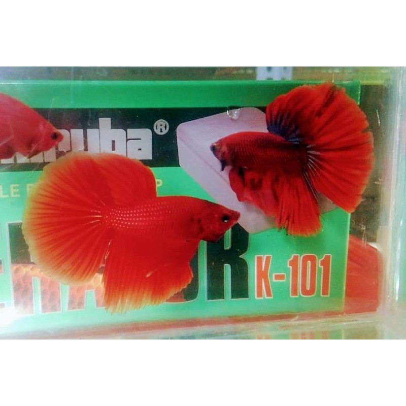 Thức ăn (cá Betta super red half moon)