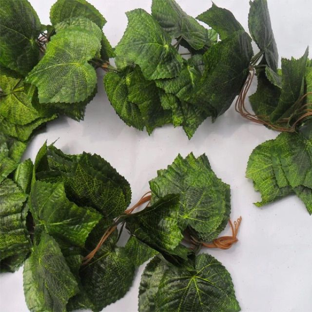Dây leo lá nho xịn  bó 5 dây dài 2m7-Lá giả