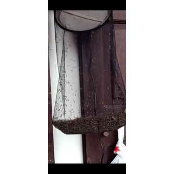 Đèn bắt muỗi hông ngoại cho trang trại gia xúc gia cầm DN37