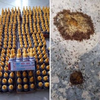 Sỉ toàn quốc giá rẻ thuoc diệt kiến - gián côn trùng
