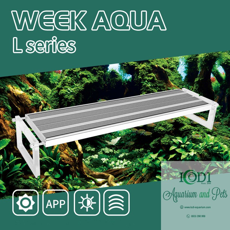 Đèn Thủy Sinh Week L600 Pro