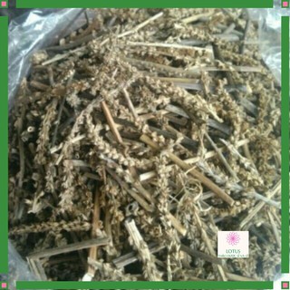 Bông Mã đề khô - hàng loại 1  cao cấp 1 kg