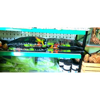 Phân nền thuỷ sinh Master soil Nhật Bản 8L