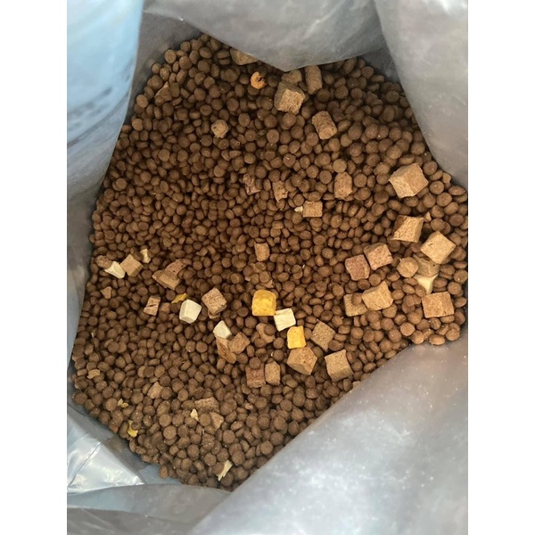 Thức ăn cho mèo cao cấp Catfood Hạt dinh dưỡng cho mèo mix topping cá ngừ ức gà lòng đỏ trứng 5kg Đảo Chó Mèo Official
