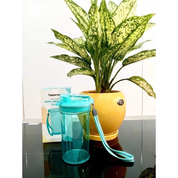 Bình nước mini 280ml tupperware