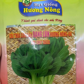 Cải thìa dạng lùn Hương Nông