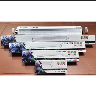 Đèn Led XuanMaiLong Ánh Sáng Trắng Cho Bể Cá Cảnh