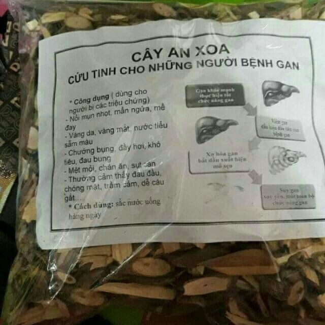 Cây An Xoa Chữa Bệnh Gan