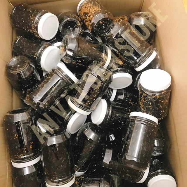 Rong biển cháy tỏi siêu ngon