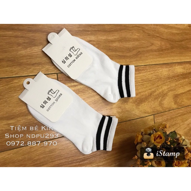 Tất cổ sọc Hàn Quốc