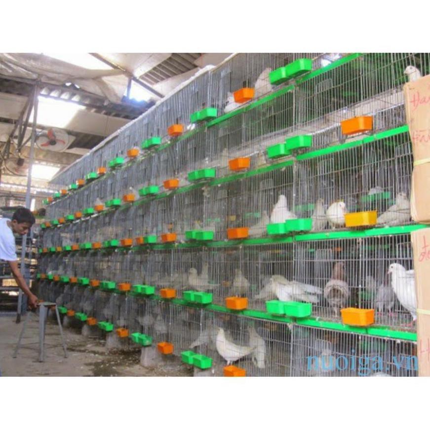Lồng chim bồ câu 2 loại 1 mét bằng kẽm loại tốt chuồng nuôi bồ câu công nghiệp